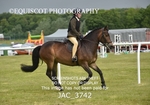 JAC_3742