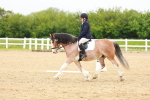 SBM_005955