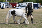 WJ6_6465