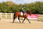 SBM_009723