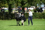 SBM_46958