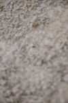 SBM_003019