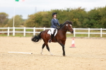 SBM_001328