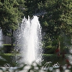 View of Fountain through Garden