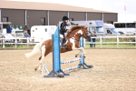 SBM_000481