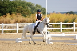 SBM_008229