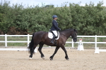 SBM_001431