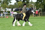 SBM_51864