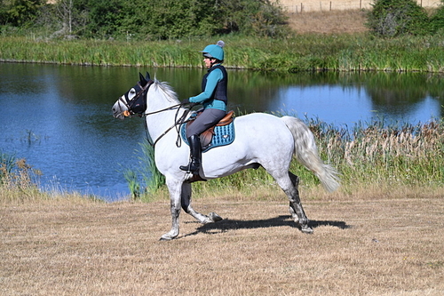 WJ7_7055