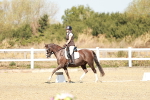 SBM_017378