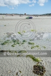 Sand Racing_10-08-2013-13