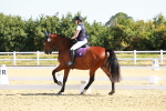 SBM_009585