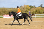 SBM_001084