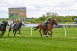 110526-Race 4-Irish Dancer-0856