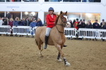 SBM_004413