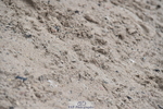 260829A-105132-26212