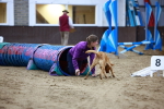 SBM_006538