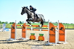 Cls 6 National 1.40m Open portfolio