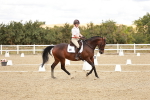 SBM_009943