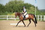 SBM_007925