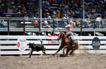 3HRodeo7-25-25_CFD_02298_