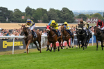 Race 6 16.30pm It's Ladies Day Next On 12 August Handicap portfolio