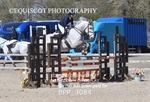 BPP_3084