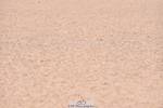 230720A-092020-01353