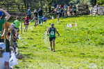 The Finish-831