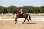 SBM_006394