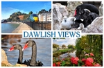 DAWLISH VIEWS AND BLACK SWANS