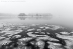 Fogged In