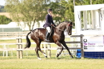SBM_20238