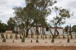 Out of Lightning Ridge portfolio