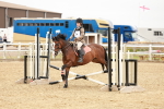 SBM_007291