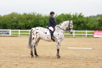SBM_005940