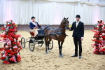 Class 9 - HHS Championship Intl Hackney Pony to a Showwagon portfolio