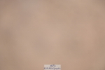241006A-124812-07337