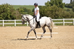 SBM_008548