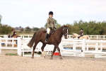 SBM_15981