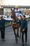 240124-Race 4-Herakles Westwood-5082