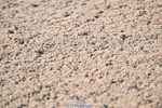 241005A-104711-03165