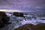Photo of the Week 12/12/2011