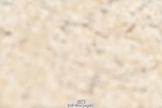 260630A-131355-06573