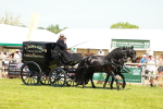 SBM_06620