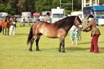 SBM_00501