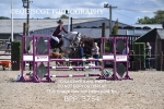 CLASS 5 SAT Pony Discovery / 90cm Open portfolio