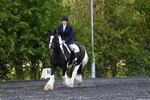 WJ5_8677