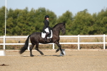 SBM_012644