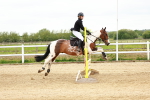 SBM_008173